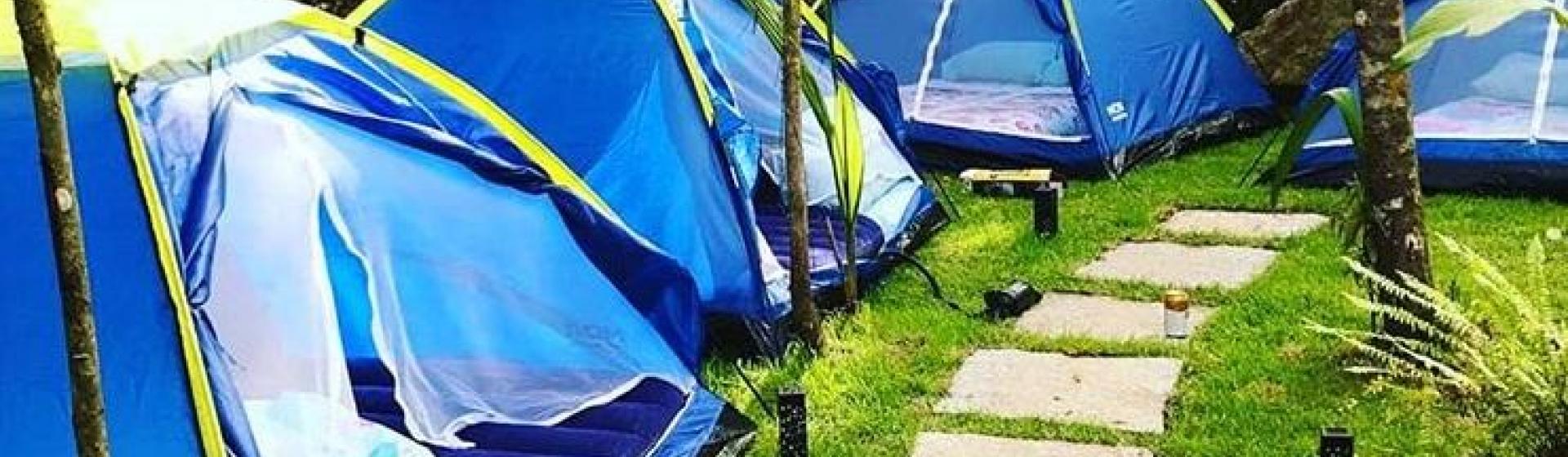 Floresta Encantada Chalés e Camping 