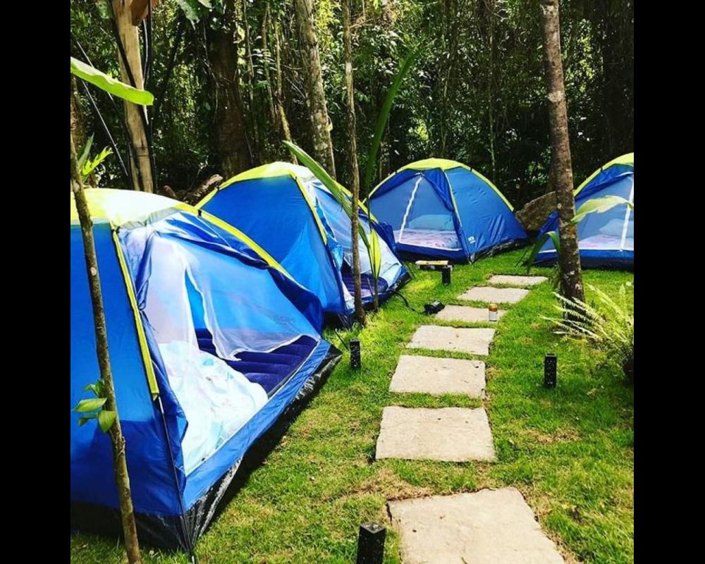 Floresta Encantada Chalés e Camping 