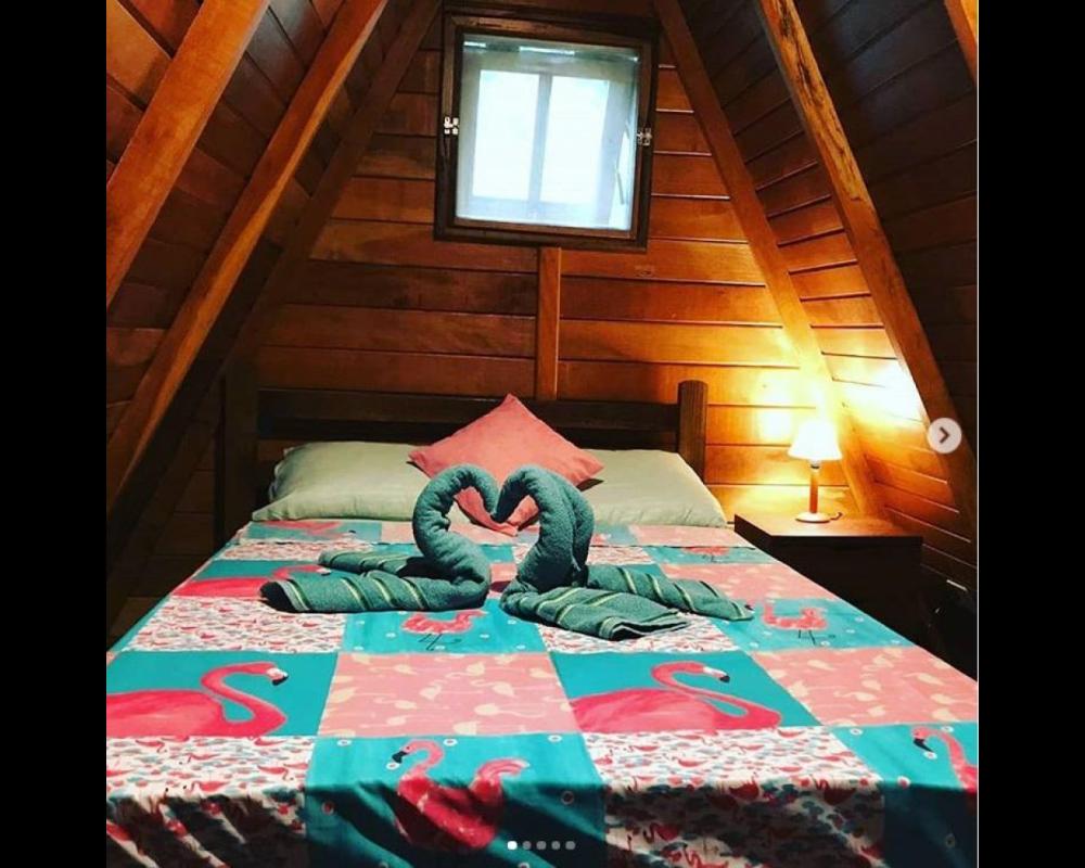 Floresta Encantada Chalés e Camping 