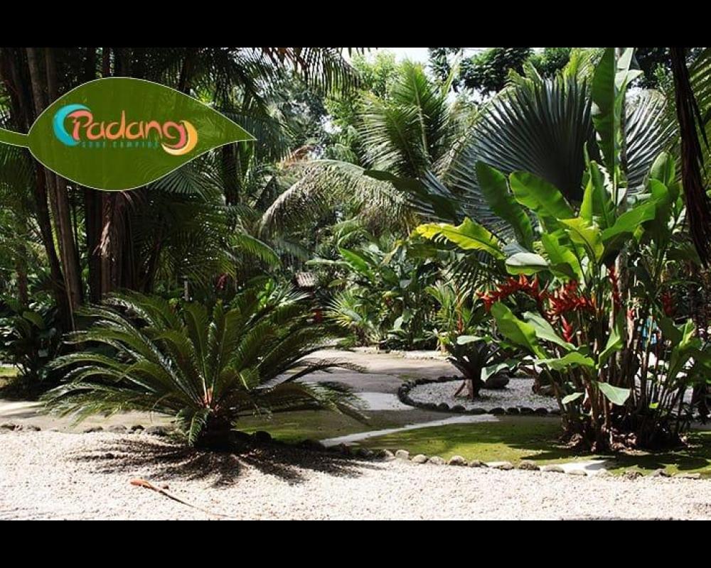 Padang Surf Camping