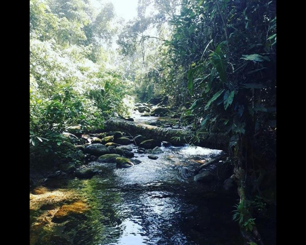 Rancho Pica Pau