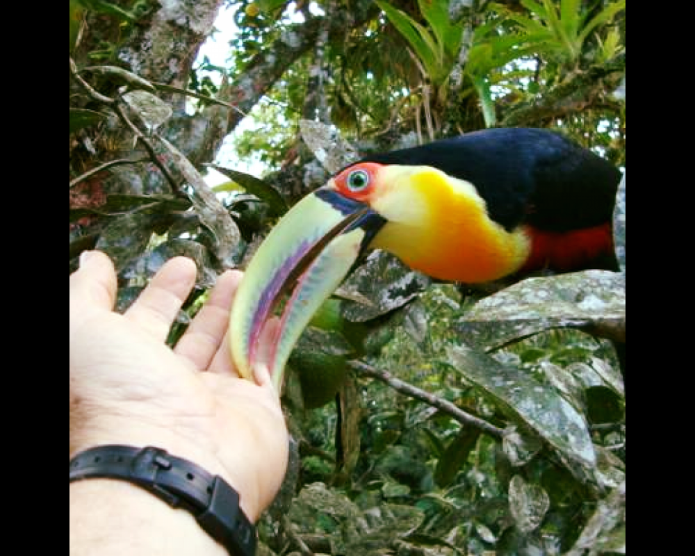 Rancho Pica Pau
