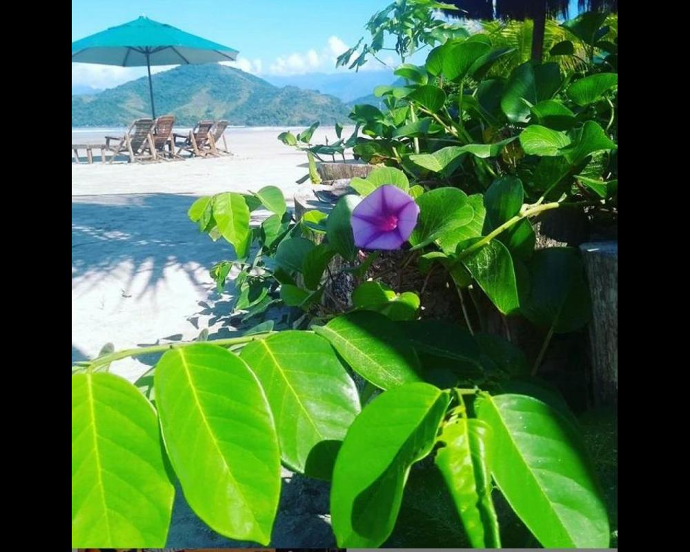 Onda Verde Bar e Restaurante