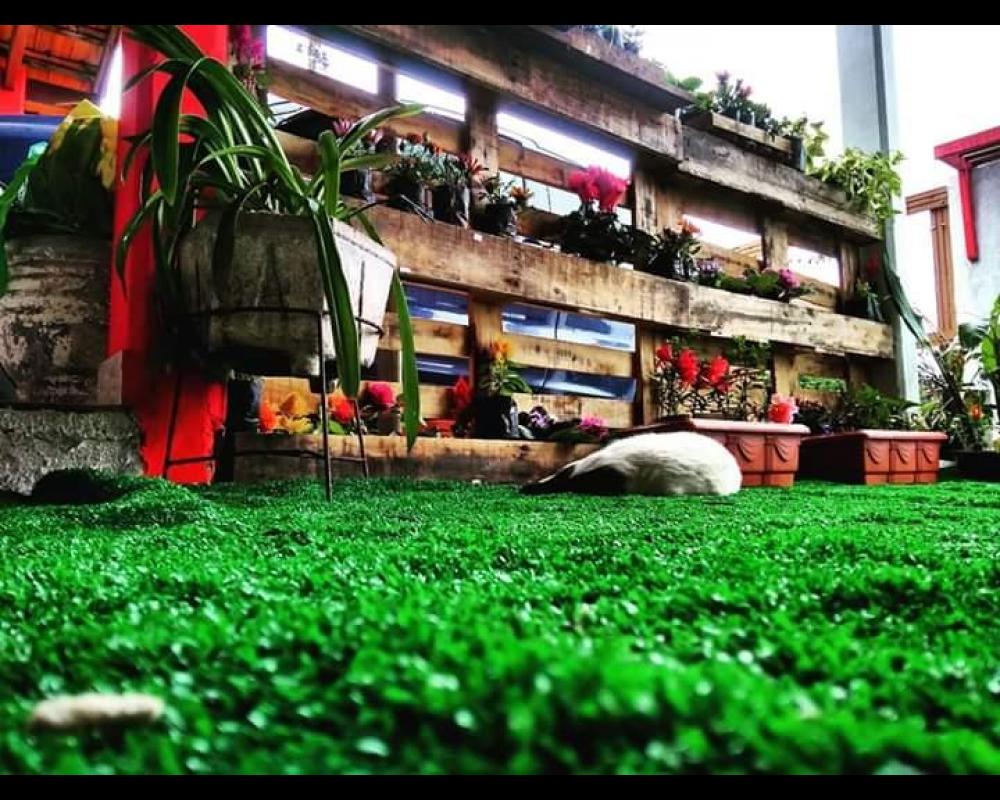 Floricultura Pequeno Jardim