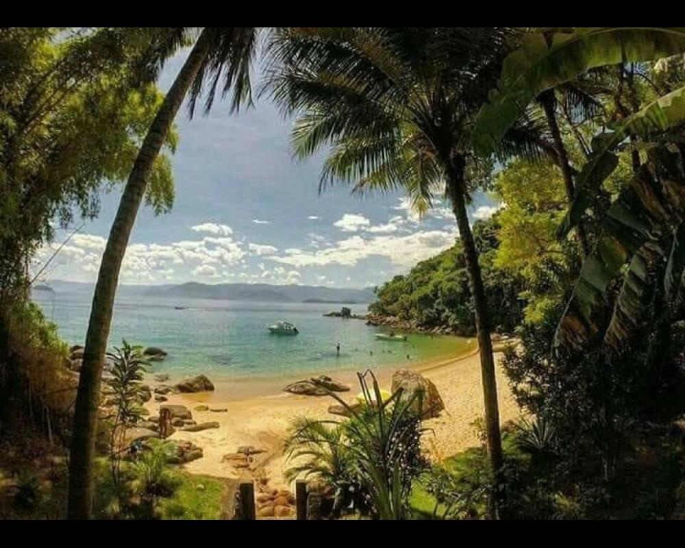 Passeios com Vavá