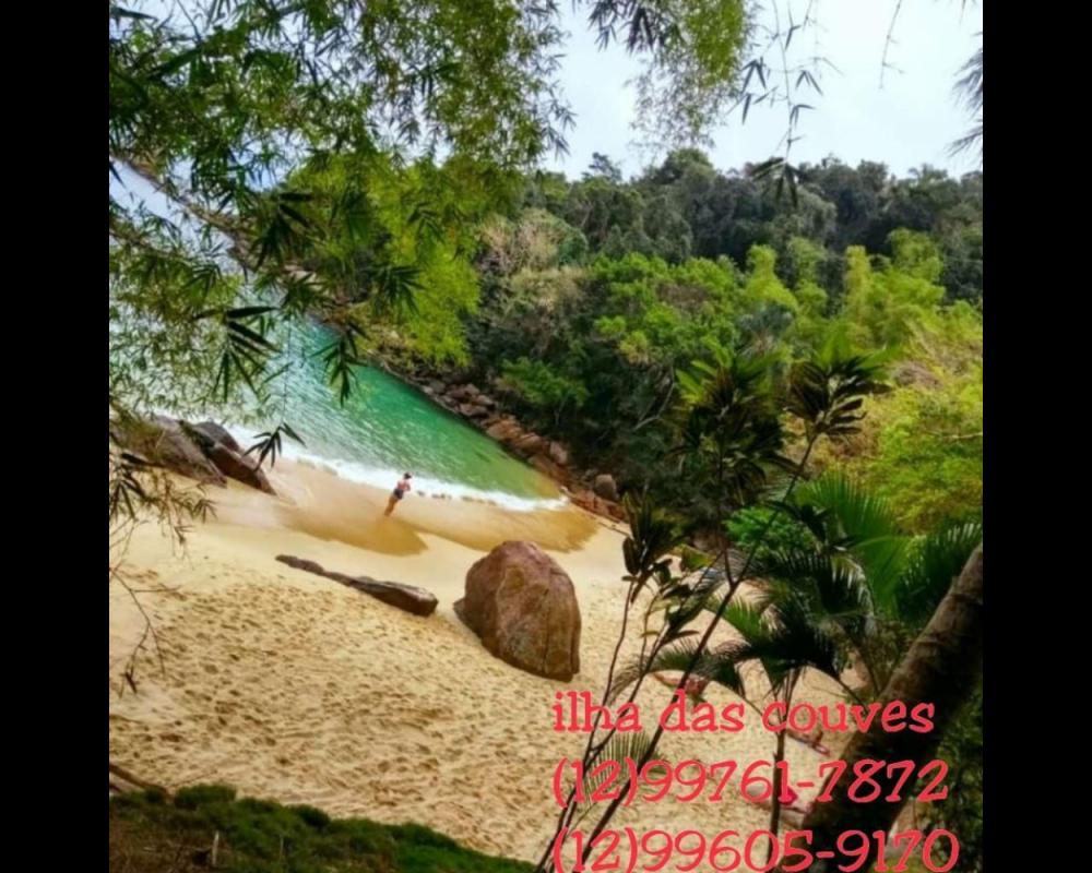 Passeios com Vavá