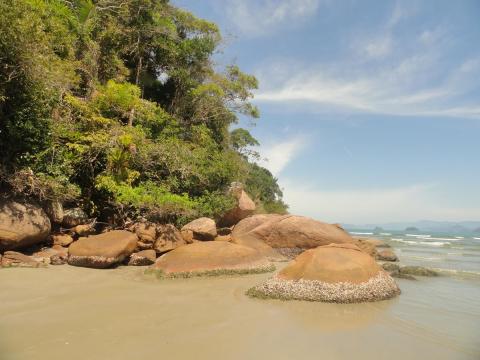 Praia das Bicas