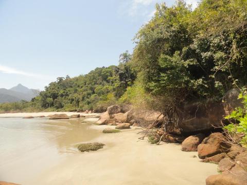 Praia das Bicas
