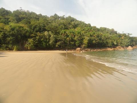 Praia do Bonete
