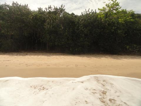 Praia Brava da Almada