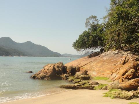 Praia Brava do Sul