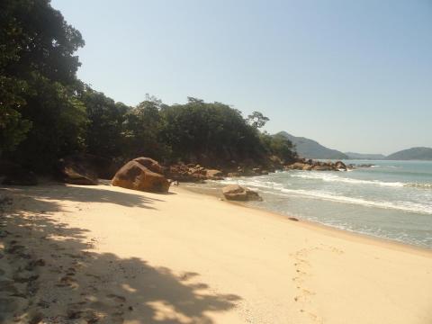 Praia Brava do Sul