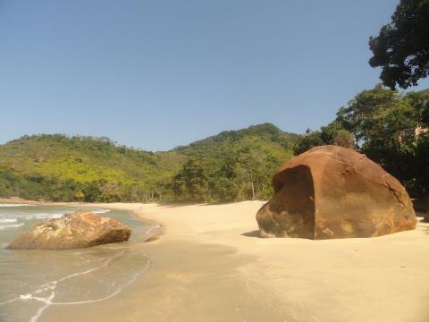 Praia Brava do Sul