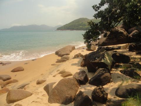 Praia do Cedro