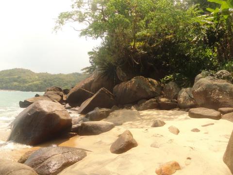 Praia do Cedro