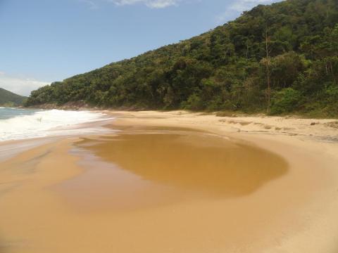 Praia da Figueira