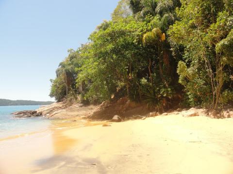Praia do Flamenguinho