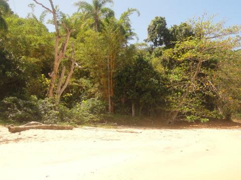 Praia Mansa