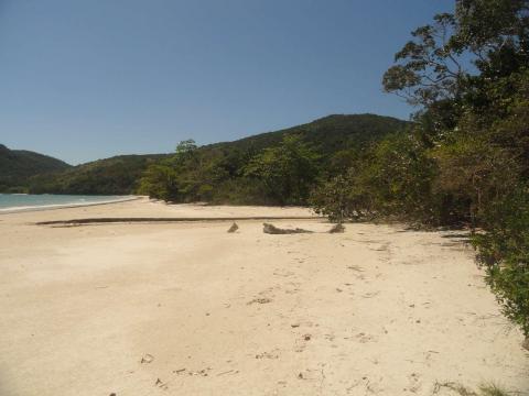 Praia das Palmas