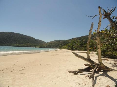 Praia das Palmas