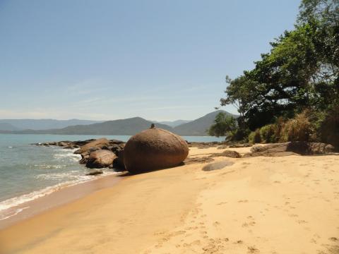 Praia de Picinguaba