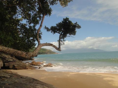Praia da Ponta Aguda