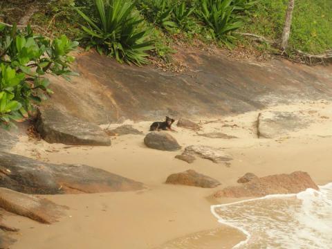 Praia de Fora