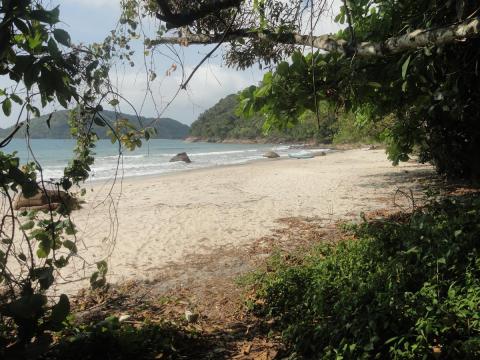 Praia do Léo