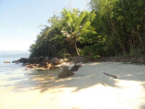 Praia das Couves