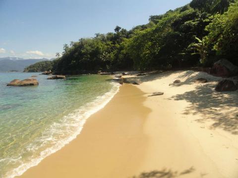 Praia das Couves
