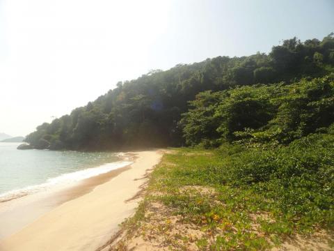 Prainha do Prumirim