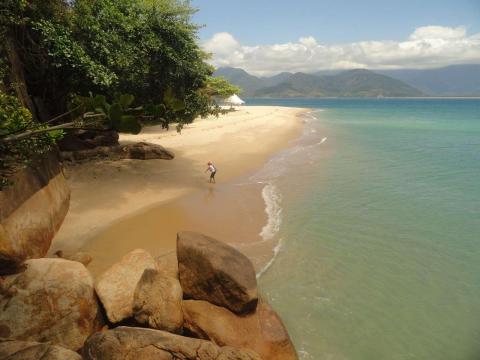 Ilha dos Porcos