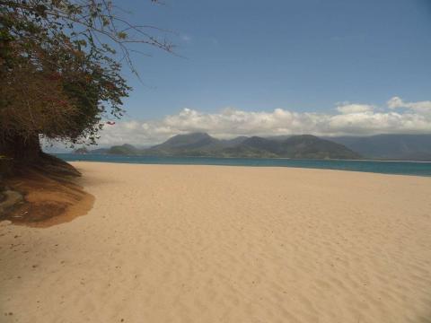 Ilha dos Porcos