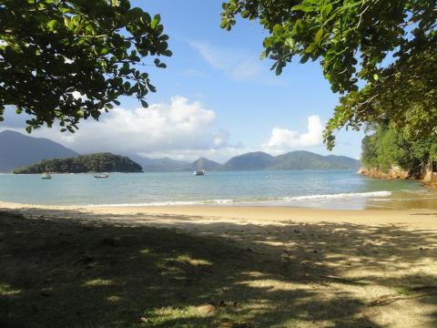 Praia do Pulso