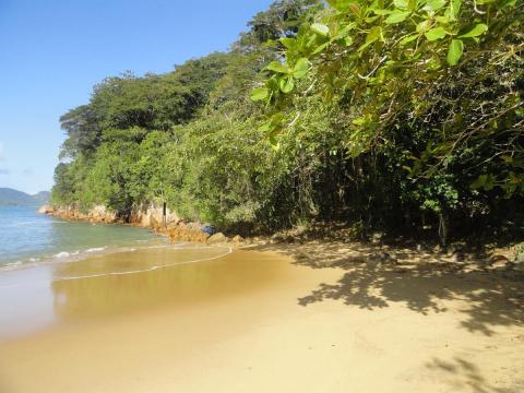 Praia do Pulso