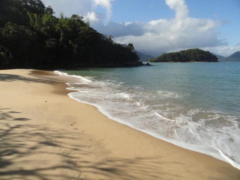 Praia do Pulso
