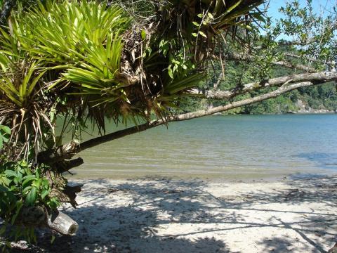Praia do Puruba