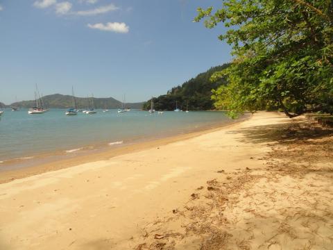 Praia da Ribeira