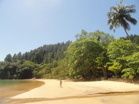 Praia da Ribeira
