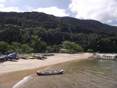 Praia Saco da Ribeira