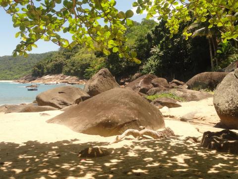 Praia Saco das Bananas