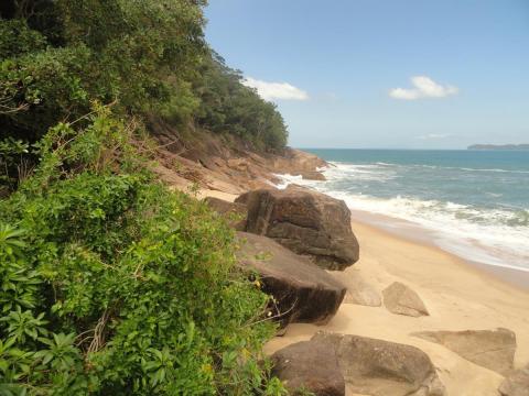 Praia da Sununga