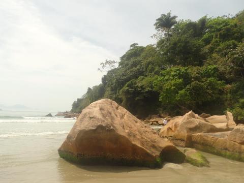 Praia das Toninhas