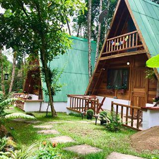 Floresta Encantada Chalés e Camping 