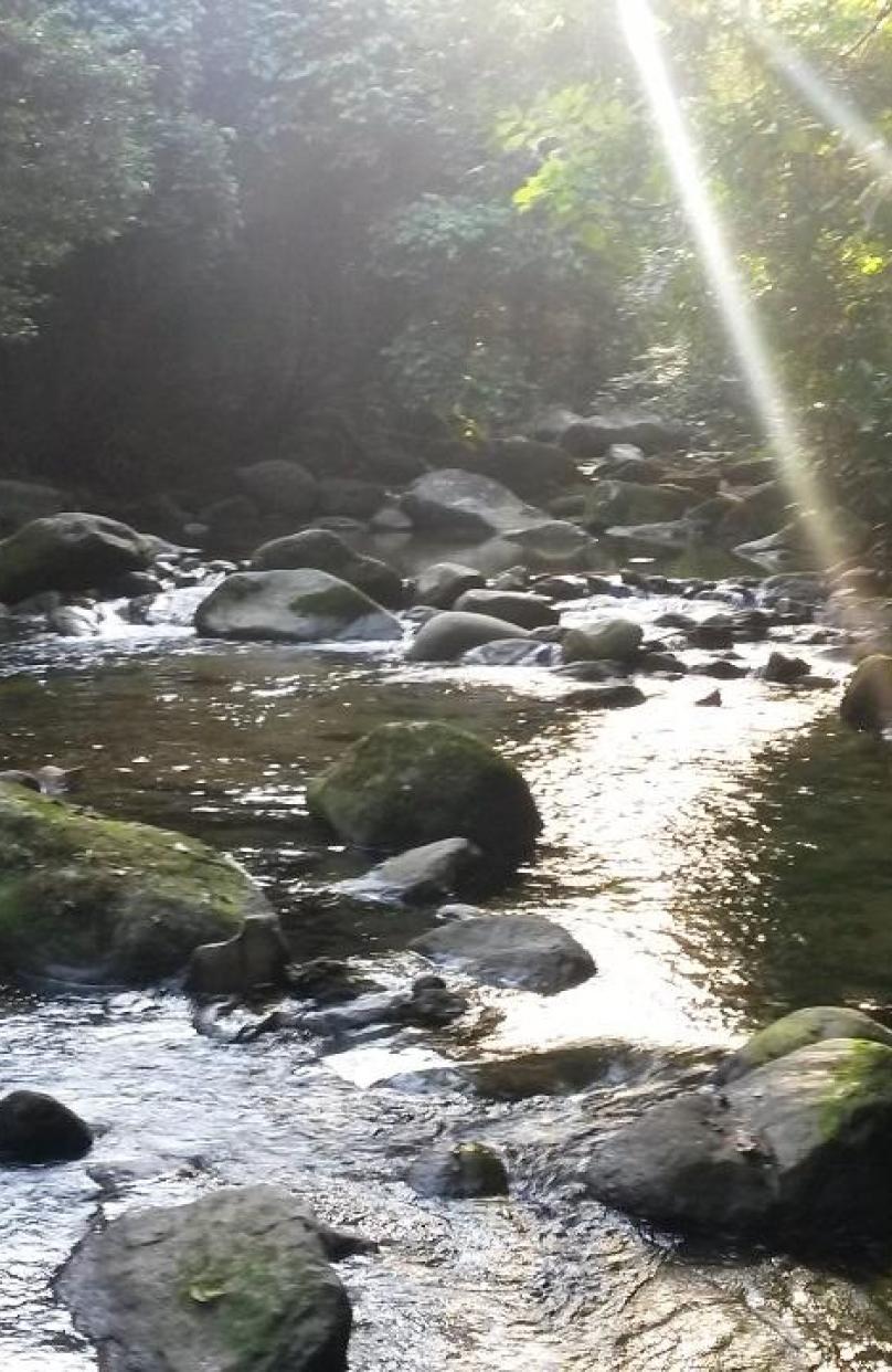 Cachoeira dos Macacos