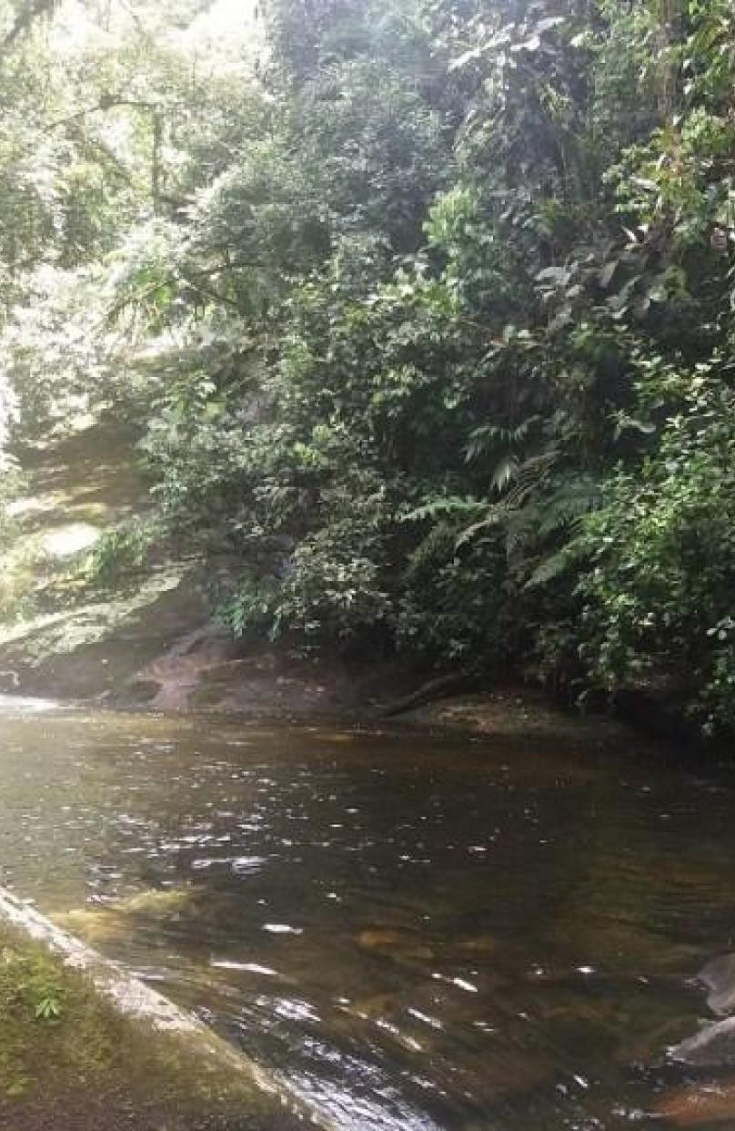 Cachoeira Poço do Amor