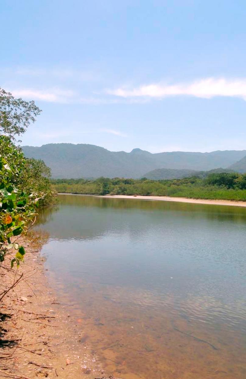 Praia das Bicas