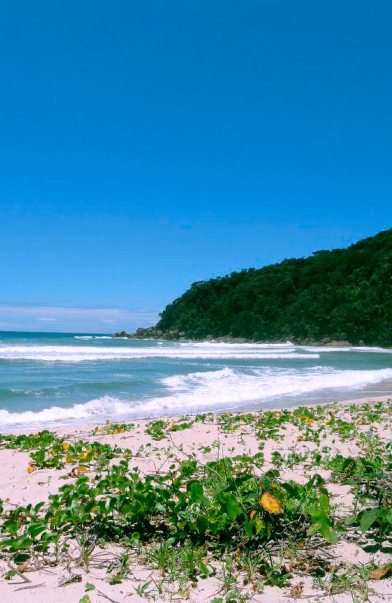 Praia Brava do Camburi
