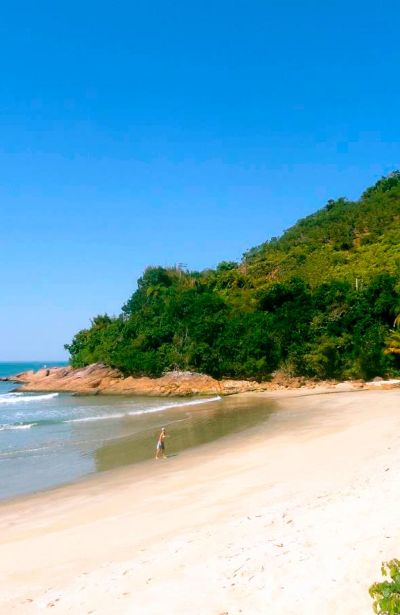 Praia Brava do Sul
