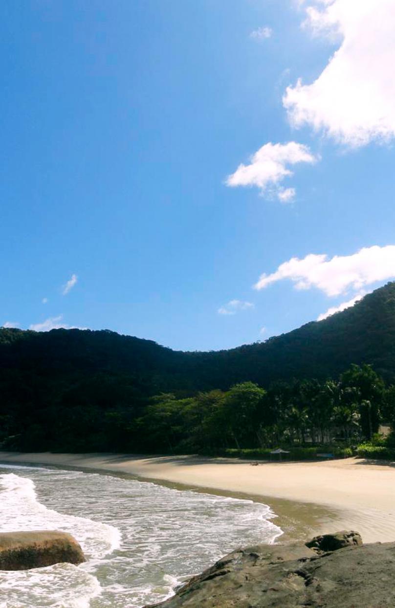 Praia da Domingas Dias